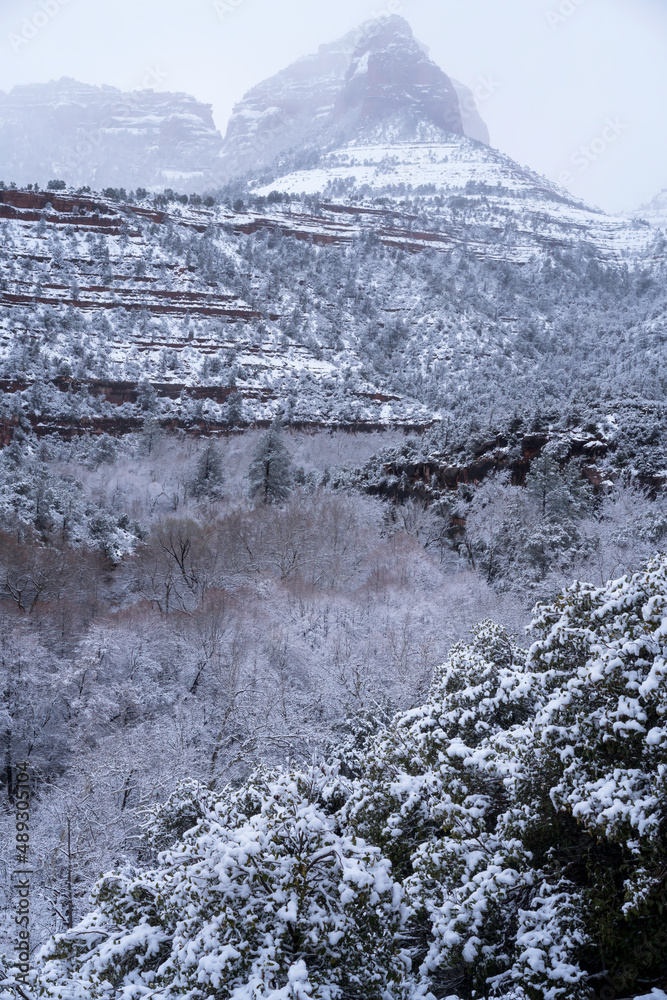 Snowbound Sedona Arizona USA