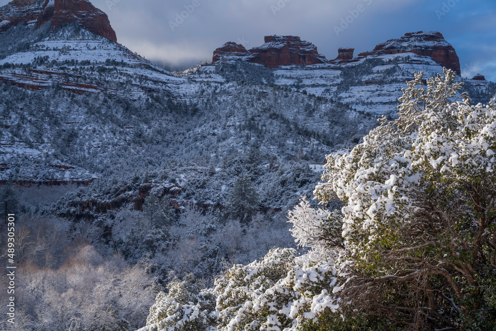 Snowbound Sedona Arizona USA