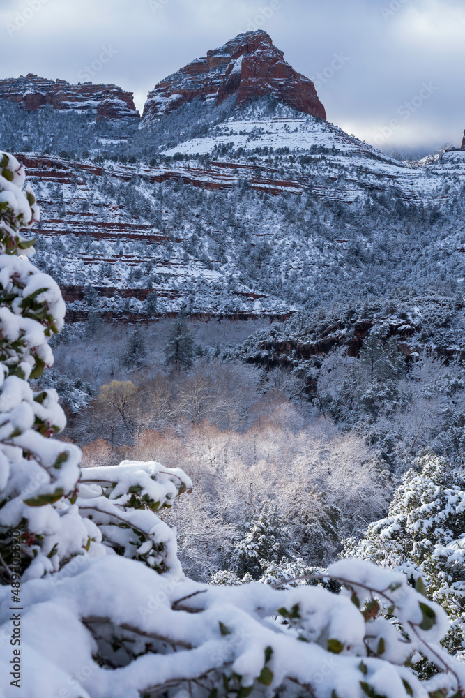 Snowbound Sedona Arizona USA