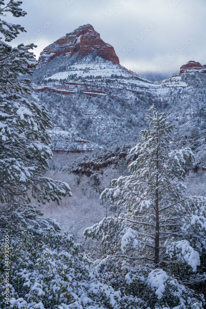 Snowbound Sedona Arizona USA