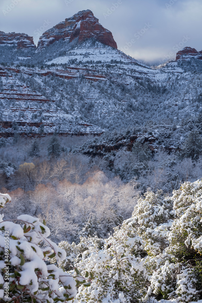 Snowbound Sedona Arizona USA