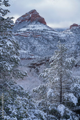 Obraz na płótnie Snowbound Sedona Arizona USA w salonie
