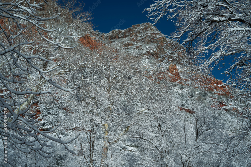 Snowbound Sedona Arizona USA