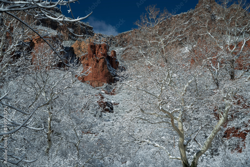 Snowbound Sedona Arizona USA