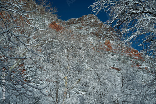 Obraz na płótnie Snowbound Sedona Arizona USA w salonie