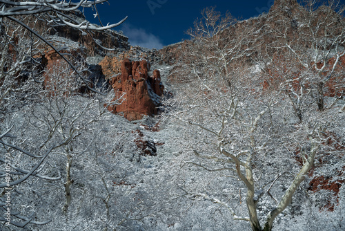 Obraz na płótnie Snowbound Sedona Arizona USA w salonie
