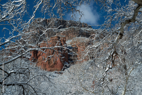Obraz na płótnie Snowbound Sedona Arizona USA w salonie