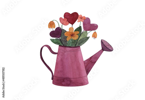 Pink -purple watering can with tulips and hearts, Spring watercolor composition soda instrument isolated on a white background