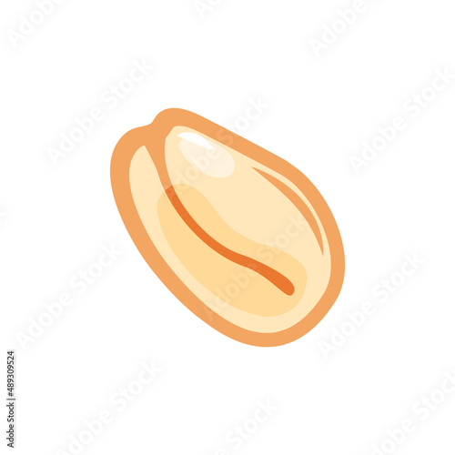 Oat flake on a white isolated background. Oat. Vector cartoon icon. 