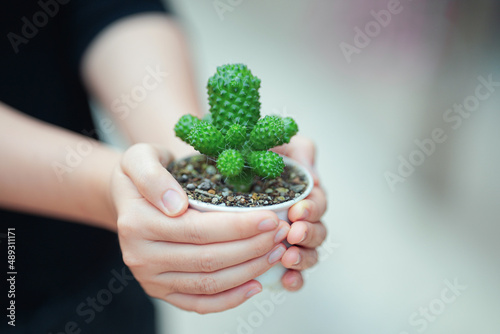 Female hand holding a small cactus pot with blurred background.