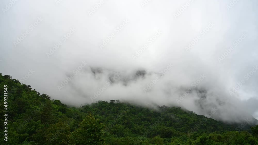 Beautiful thick fog seen moving towards the left over the rainforest in Sai Yok, Kanchanaburi, Thailand. Beautiful thick fog seen moving towards the left over the rainforest in Sai Yok, Kanchanaburi, Thailand.