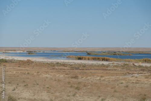 The territory of the Aral Sea. The southern part with a controlled volume of water and vegetation. © Vladimir