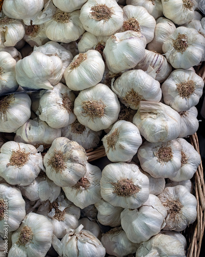 Closeup of fresh Garlic Bulbs on a market stall