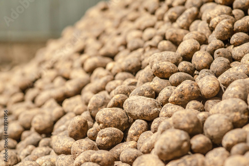 potatoes in storage medium size