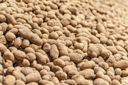 potatoes in storage medium size