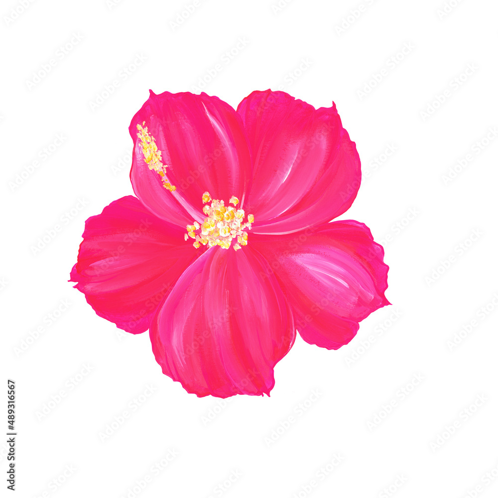 Bright pink hibiscus flower isolated on white background. Tropical exotic plant in Hawaii. Watercolor hand drawn illustration. For the design of postcards, prints, packaging.