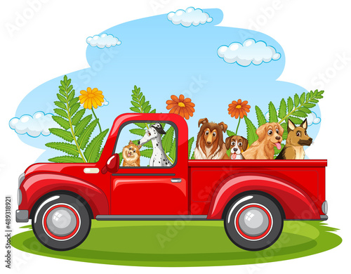 Many dogs riding on red truck in the park