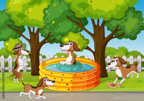 Four dogs playing in the park
