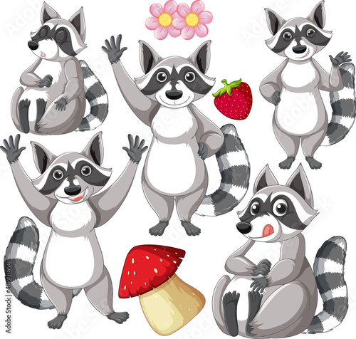 Funny raccoon  on white background element