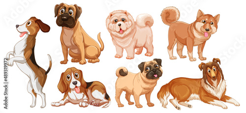 Set of different cute dogs in cartoon style