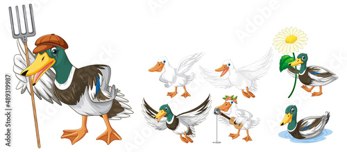 Set of different poses of ducks cartoon characters