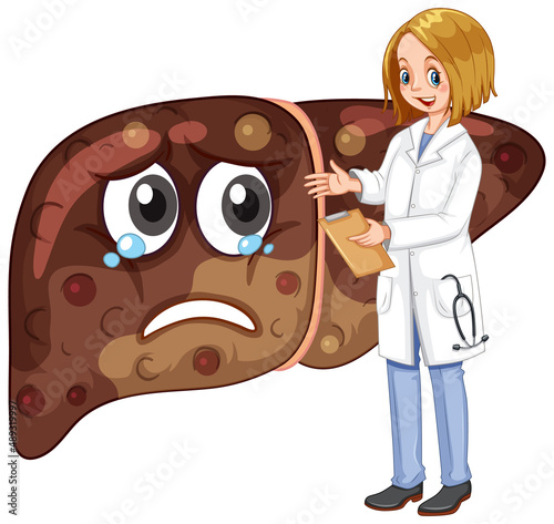 A doctor standing with fibrosis liver on white background