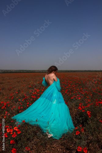 young girl in huge blue princess dress is standing from the back in red poppy field and looking down in sunlights on blue sky background. free space