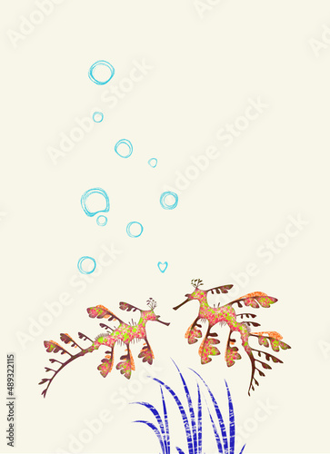 Leafy sea dragon リーフィーシードラゴン Sea dragon  © Kotoka