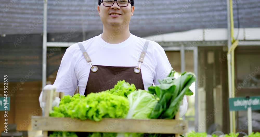 Tilt up shot, portrait happy Asian farmer man carrying basket of fresh vegetable salad in organic farm, Hydroponics farm in greenhouse, small business with organic agriculture concept Tilt up shot, portrait happy Asian farmer man carrying basket of fresh vegetable salad in organic farm, Hydroponics farm in greenhouse, small business with organic agriculture concept