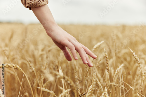 hand countryside industry cultivation autumn season concept