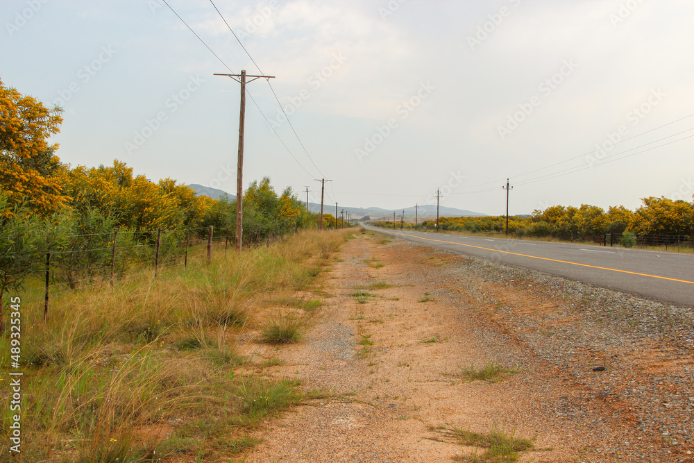 Road ditch with Powerline between Malmesbury and Darling in the Western Cape of South Africa