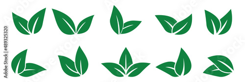 green leaves , logo, icon set vector illustration 