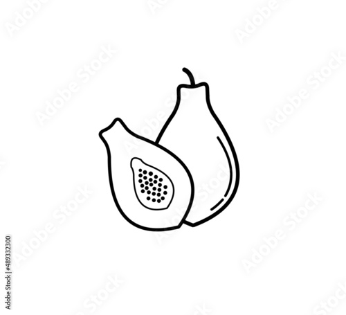 whole and half papaya fruit icon illustration