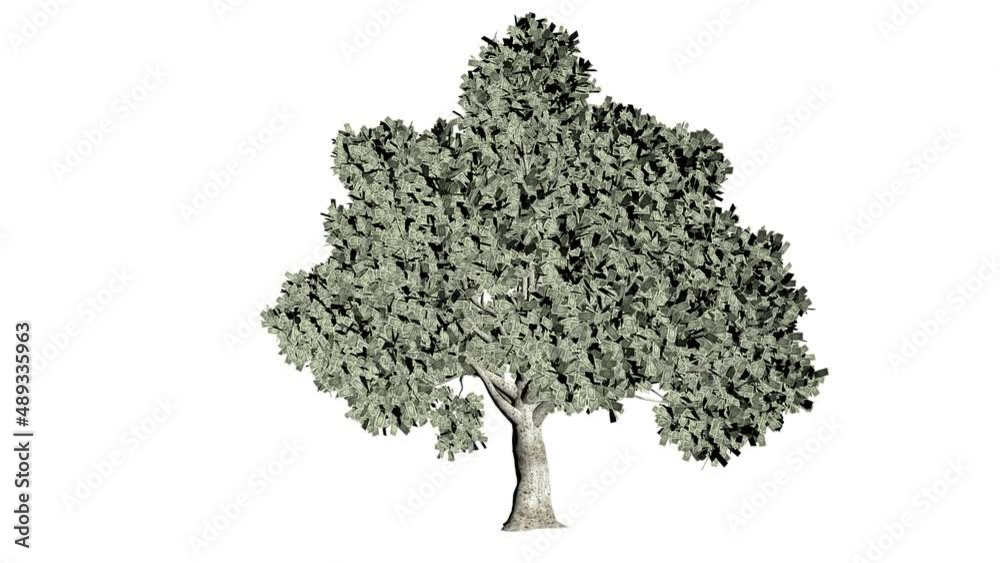 Dollar US tree seamless loop, white background