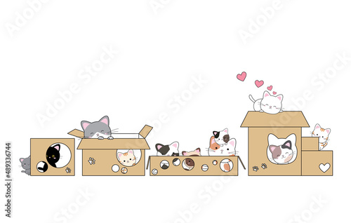 Cat and box design on white background vector illustration
