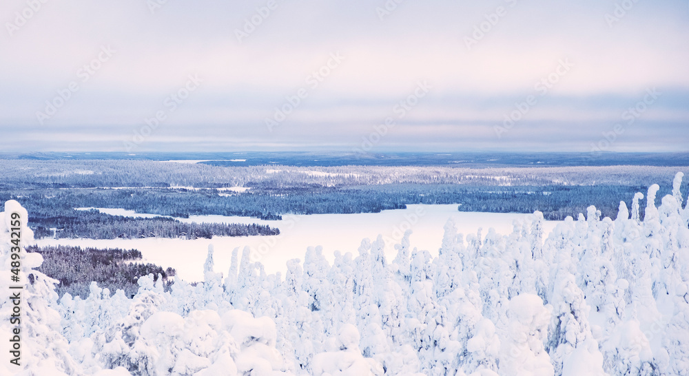 Obraz premium Panoramic photo of the winter landscape of Lapland. Lake and snow-covered forest in the rays of sunrise.
