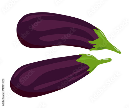 Two eggplants. Hand drawn vegetables. Blue-purple eggplant with a green stalk with leaves. Flat cartoon illustration isolated on white background. Food vector symbol, icon. Kitchen cooking theme.