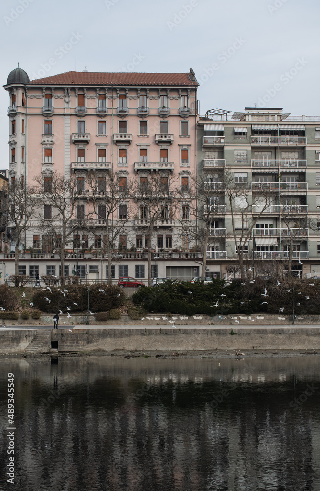 View from the river Po of the buildings in the city of Torino. On a cloudy winter day. Some birds flying over the river.
