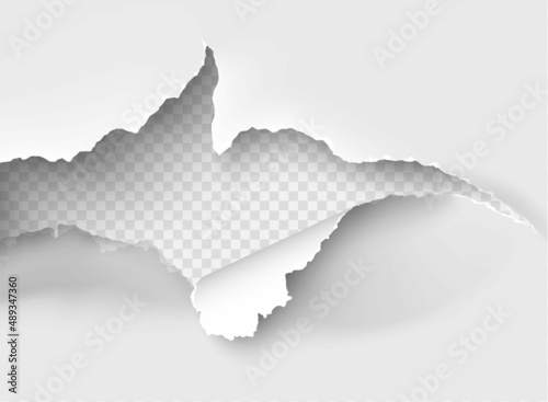 ragged Hole torn in ripped paper on transparent background