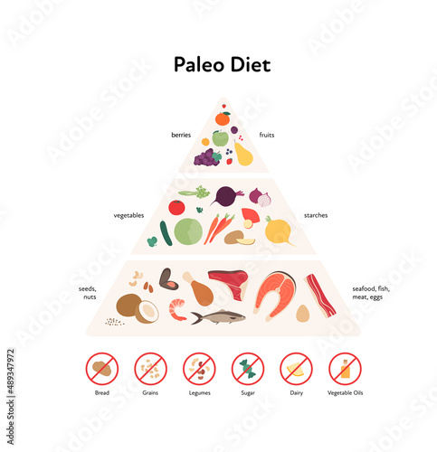 Food guide concept. Vector flat modern illustration. Paleo diet infographic pyramid with label, rules and recomendation with stop restriction sign. Food icons of fruit, vegetables, fish, meat and seed