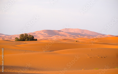 Early morning light at the desert dunes Erg Chebbi in the south of Morocco  nearby Merzouga