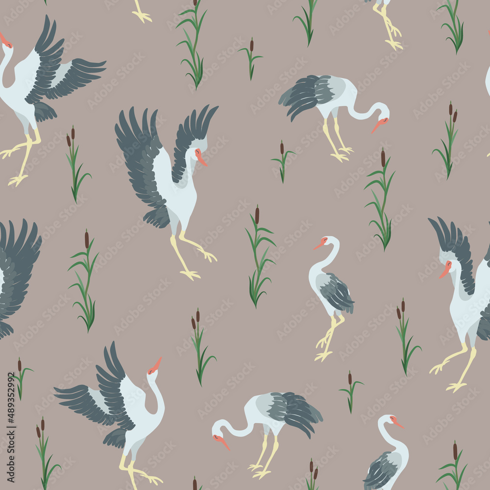Patterns Siberian cranes Patterns Siberian cranes