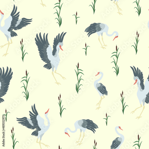 Patterns Siberian cranes