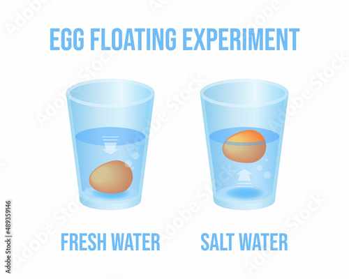 Vector illustration eggs floating in transparent glass of water isolated on white background. Egg float test infographic vector icons in flat cartoon style. Science Experiment in fresh and salt water.