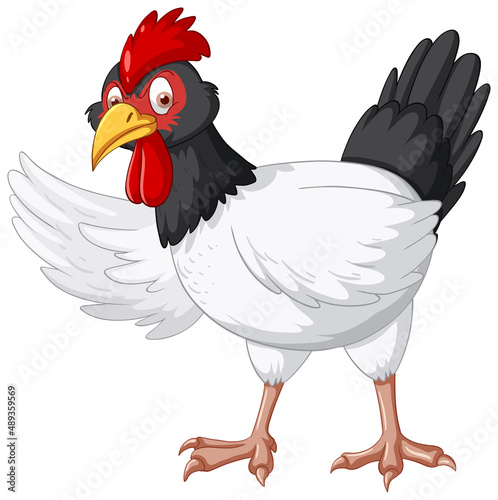 A chicken wearing sunglasses cartoon character