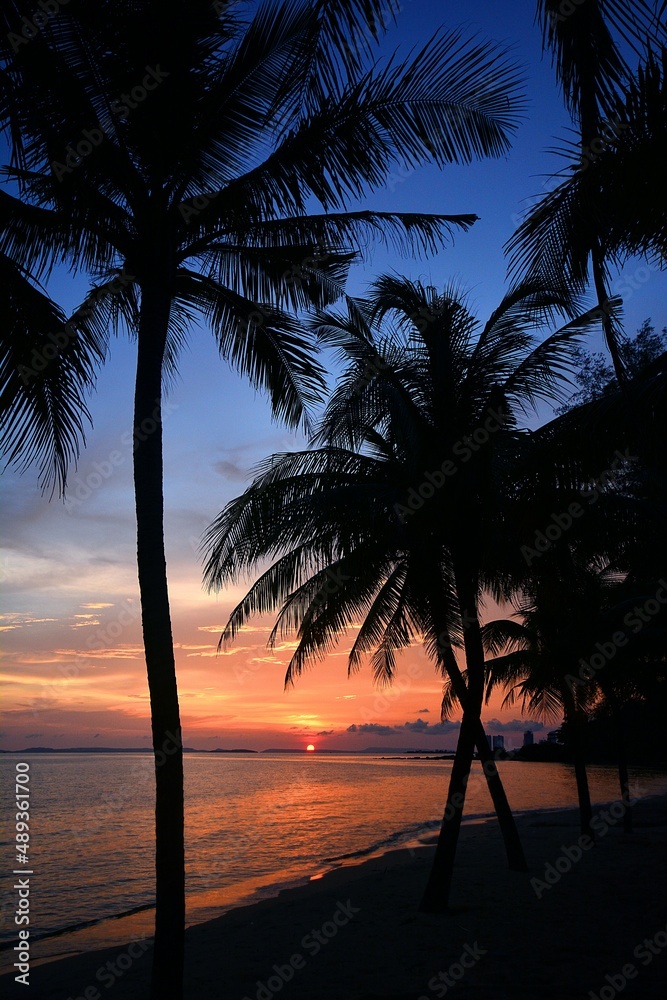 Sunset at a tropical beach, palm trees