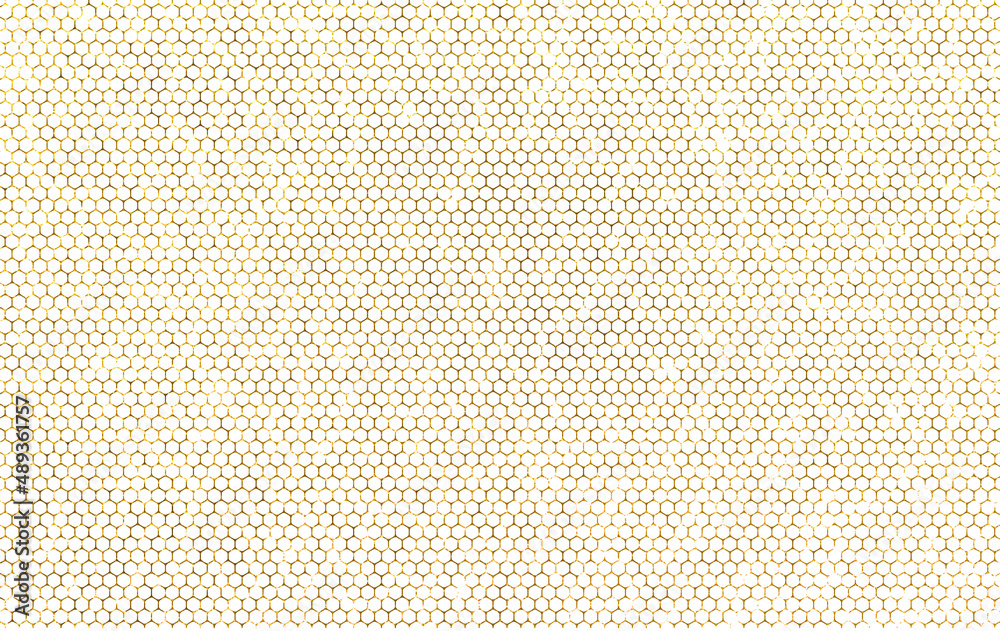 Fototapeta premium Texture nids d’abeilles 
