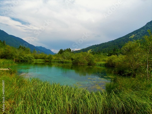 Lake at Zelenci at the spring of Sava Dolinka close to Kranjska gora in Gorenjska region of Slovenia surounded by wetland reeds