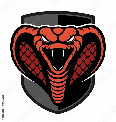 Vector cobra snake image, vector snake logo with the shield on white background. photo