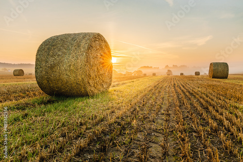 Hay bales in a field near the village of Dobronice near Bechyně in South Bohemia, which are photographed at sunrise